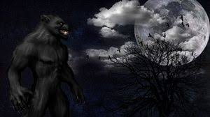 Free werewolf wallpapers and werewolf backgrounds for your computer desktop. Werewolf Widescreen 16 9 Wallpapers Hd Desktop Backgrounds 1600x900 Images And Pictures