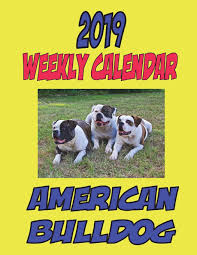 'mad american bulldog' by caioliutti. 2019 Weekly Calendar American Bulldog Personal Notes Weekly Calendar Passwords Coloring Pages Wittmann Gary Times Puppy 9781722804688 Amazon Com Books