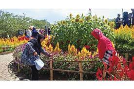 Taman bunga ini dikelola dengan baik dan memiliki berbagai fasilitas yang bisa kita gunakan seperti. Melepas Penat Dengan Wangi Semerbak Di Taman Bunga Pandeglang