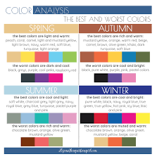 Men S Color Analysis Spring Autumn Summer Winter Color Combinations For Clothes Colors For Skin Tone Color Analysis