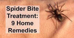 Black widow bites don't look the same as these skin lesions. Spider Bite Treatment 9 Home Remedies David Avocado Wolfe