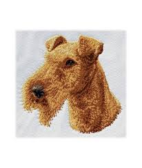 Image result for irský teriér