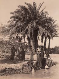 Gabriel Lekegian Active Circa 1887 1925 Palm Trees And Water Carrier By The Nile Egypt Life In Egypt Pyramids Egypt Old Egypt