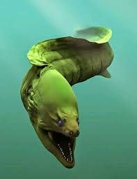 Pin By Maria Malikova On Ocean Life Ocean Creatures Ocean Animals Sea And Ocean