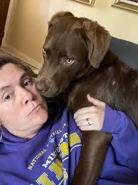 Help me out.. things you have learned since owning an American  Staffordshire Terrier.￼ I'll go first. 1. When you're playing, it's OK to  growl as loud as you can. 2. If you