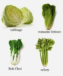 Pin On Vegetables Growing