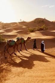 Driving towards the judean desert where the bedoin people live. 10 Shoulder Season Destinations To Explore This Year Passion Passport Morocco Travel Passion Passport Places To Go