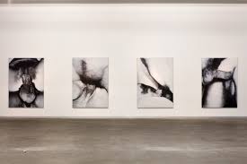 BSF Tour Dallas Contemporary - Visual Feast - Artistic Insight