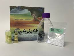 Image result for Microchloa altera