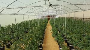 ابوطلال لزراعة المائية M400101 Twitter