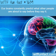 Jnievesdelgado Brain Facts Wtf Fun Facts Funny Weird Facts