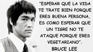 Marlene Isabel Noajed (marleneisabelnoajed)