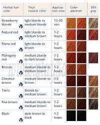 Sante Herbal Hair Color Bronze 100g