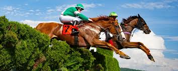 A steeplechase is a distance horse race in which competitors are required to jump diverse fence and ditch obstacles. Steeplechase Advisors Llc Linkedin