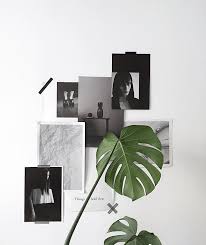 Aesthetic Black And White Room With Plants Minimal Black And White Mood Board Inspiration For A Home Office Green Monstere Plant Leaf In A Vase Minimalism Interior Decor Minimalist Decor