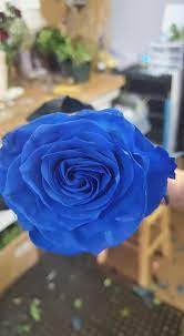 Find businesses around you in jackson, minnesota. Enchanted Flowers Gifts Home Facebook