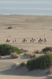 Plage De L Espiguette Tourisme Camargue Petite Camargue