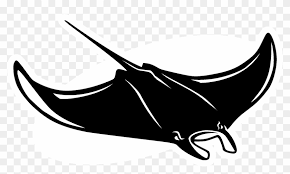 Tampa bay lightning under armour nhl hockey shirts. Tampa Bay Devil Rays Logo Black And White Tampa Bay Rays Manta Logo Clipart 1085457 Pikpng