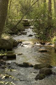 Pin By Janice Hendrix On My Favorite Getaways Vacation Locations State Parks Greenville South Carolina