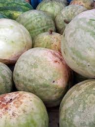 Fifty percent (50%) of net profit from the sale of all love your melon products is given to nonprofit organizations around the world that lead the fight against pediatric cancer. From Our Lovely Neighbor Part Of Our Incredible Community