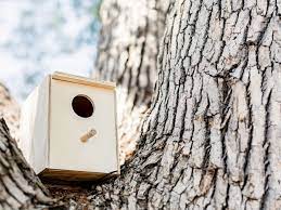 It goes from penny birdhouses to ukulele birdhouses, and they are all one of a kind so you will not see them anywhere else than your home. 27 Free Diy Birdhouse Plans You Can Build Today