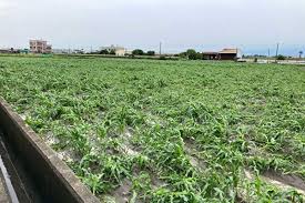 Jun 05, 2021 · 昨年7月の豪雨で被災した、川辺川から農業用水をくみ上げる熊本県相良村深水の「棚葉瀬揚水機場」が復旧し、1日から. Bq3wx0wfkxy9km