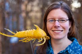 פרופיל של ‏‎Michael Bartelt‎‏‎