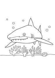 Image coloring is a magnificent activity for your baby shark. Coloring Pages Free Printable Shark Coloring Pages For Kids