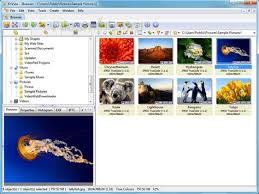 It supports more than 500 image formats! Xnview Full Download Xnview 2 47 Complete Full Crack Portable Quáº£n Li Va Best Photo Viewer Image Resizer Batch Converter For Windows Isabelleoj Images