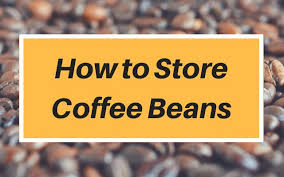 Never store your coffee in paper but rather try to store it in its original packaging (usually foil or plastic.) at serious coffee cafés, we bag our coffee in paper bags that have a liner and only when you order it. How To Store Coffee Beans Tips And Recommendations I Need Coffee