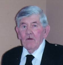 Contributions to the tribute of James Wilkie