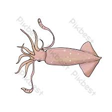 It's high quality and easy to use. Cute Cartoon Squid Png Images Psd Free Download Pikbest