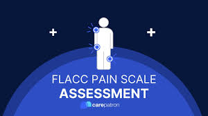 Image result for FLACC Scale