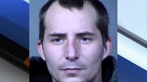 PD: Man charged after stealing 100 video games from library