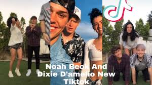 Ecco le risposte esilaranti che hanno dato. Noah Beck And Dixie D Amelio New Tiktok Youtube
