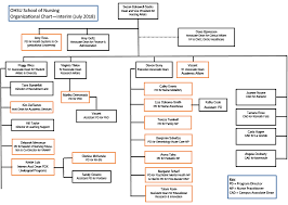 What Is The Purpose Of An Organizational Chart In Health