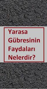 Yarasa Gubresinin Faydalari Nelerdir Yarasalar Gubre Bitki