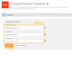 Kintone Add On Domo App Achieve More With Add Ons Kintone