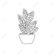 Introducing green tropical plant print, perfect to delight any room or office. One Single Line Drawing Of Cute Potted Tropical Aglaonema Plant Printable Decorative Houseplant Concept For Home Wall Decor Ornament Modern Continuous Line Graphic Draw Design Vector Illustration Royalty Free Cliparts Vectors And