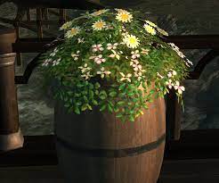 Corpse Flower Ffxiv Best Flower Wallpaper