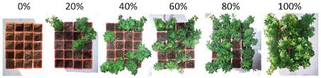 Daniel's Espeleta's Evapotranspiration Experiment