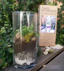 Diy Herb Terrarium Kit Terrariums Kits Terrarium Diy Herb Garden Kit