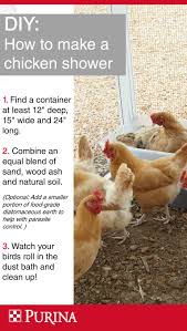 Pin On Chicken Keeping