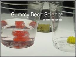 Gummy Bear Science Preschool Science Science For Kids Gummy Bears
