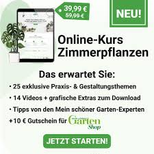 Aloe Vera Echte Aloe Zimmer Und Heilpflanze Mein Schoner Garten