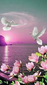 Nature Birds And Flowers Wallpaper Pin By Shelia On Birds Beautiful Nature Wallpaper Beautiful Nature Beautiful Paintings