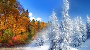 10 Songs That Solve The Christmas Music Debate Winter Background Winter Landscape Winter Wallpaper