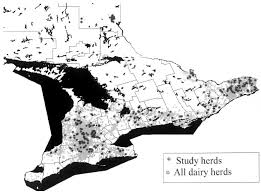 Stall Dimensions And The Prevalence Of Lameness Injury And Cleanliness On 317 Tie Stall Dairy Farms In Ontario Abstract Europe Pmc