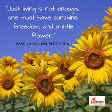 Just Living Is Not Enough One Must Have Sunshine Monday Quotes About Life And Freedom V 2020 G
