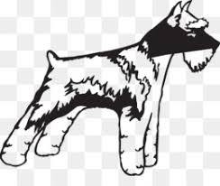 Enjoy hours of fun and escapism at a great price with this best selling schnauzer coloring book designed with adults teenagers and kids aged 10 in mind. Schnauzer Coloring Pages Png Miniature Schnauzer Coloring Pages Schnauzer Coloring Pages Adult Cleanpng Kisspng